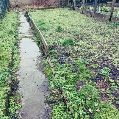 Maison de ville - 113 m² - 5 pièces