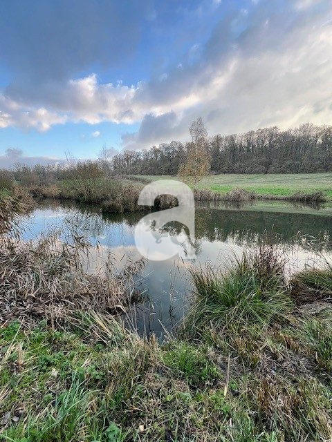 Terrain de loisirs - 4 249 m²