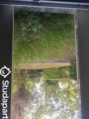 Appartement - 10 m² - 1 pièce