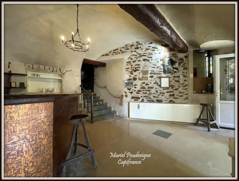 Maison - 353 m² - 13 pièces