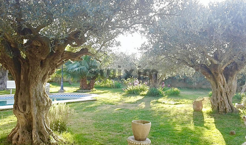 Maison - 70 m² - 1 pièce