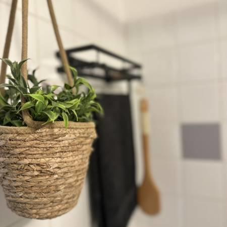 Appartement - 19 m² - 1 pièce