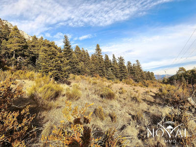 Terrain - 13 495 m²