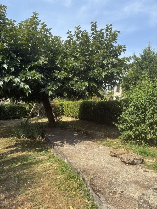 Maison en pierre - 140 m² - 6 pièces