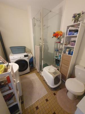 Appartement - 55 m² - 2 pièces