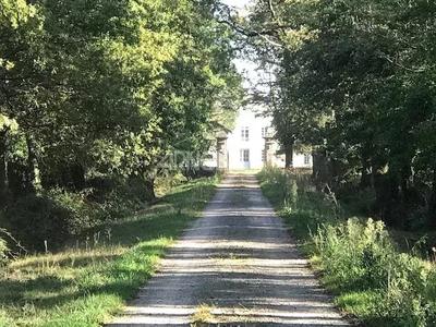 Bureau - 600 m² - 16 pièces