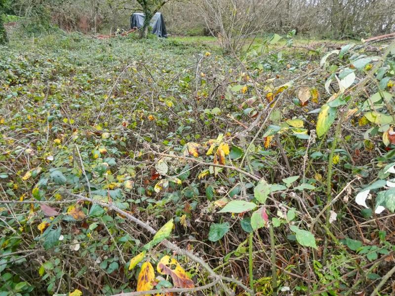 Maison - 180 m² - 5 pièces