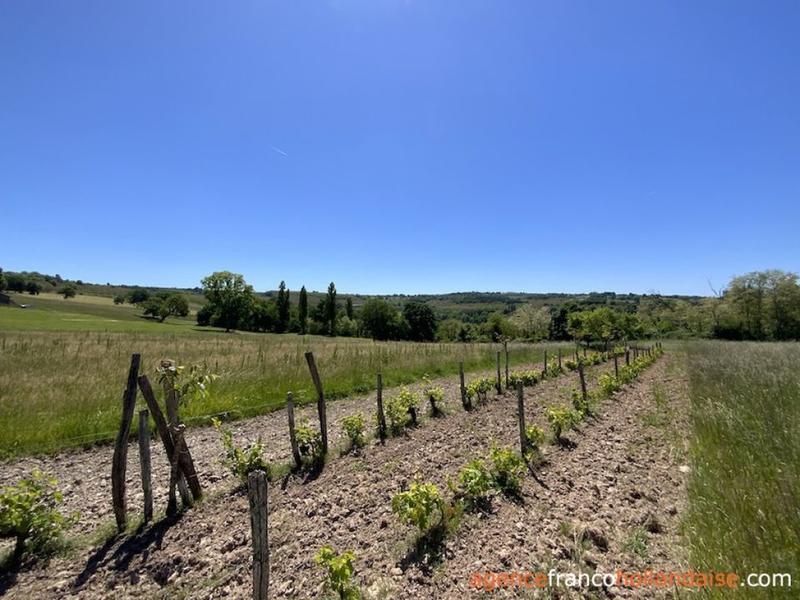 Terrain - 13 565 m²