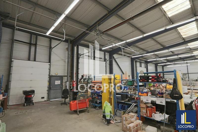 Local d'activité / Entrepôt - 1 300 m²