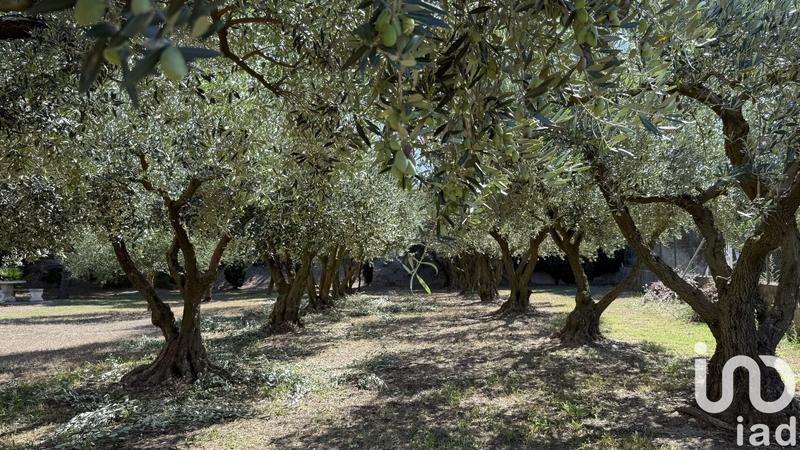 Maison de campagne - 177 m² - 7 pièces