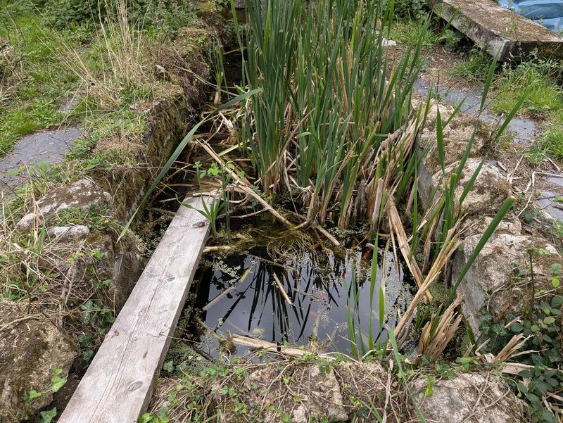 Maison ancienne - 6 pièces