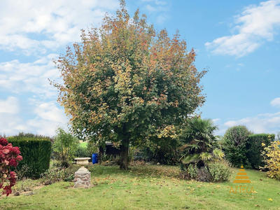 Maison - 114 m² - 5 pièces