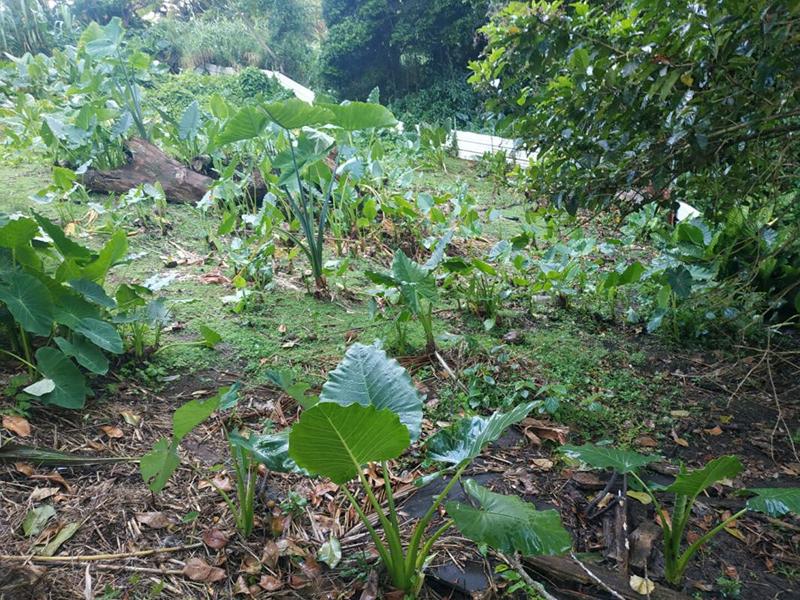 Terrain constructible - 500 m²