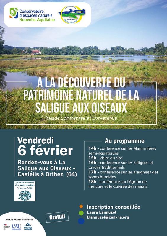 Visite de la saligue aux oiseaux