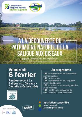 Visite de la saligue aux oiseaux