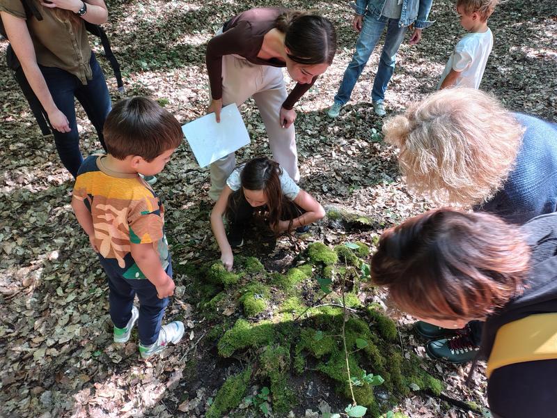 Balade Famille "Chasse au trésor : la faîne dorée"