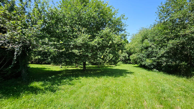 Maison - 35 m² - 2 pièces