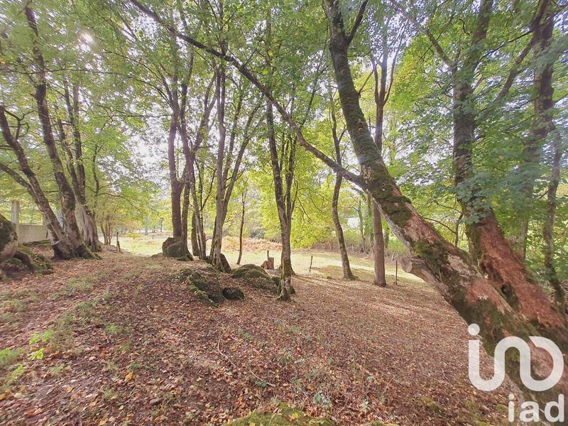 Maison de campagne - 211 m² - 5 pièces