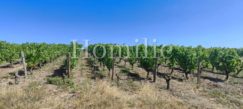 Maison - 90 m² - 6 pièces