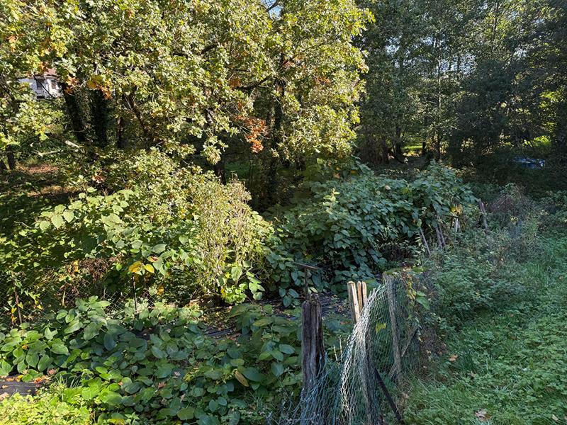 Maison - 65 m² - 4 pièces