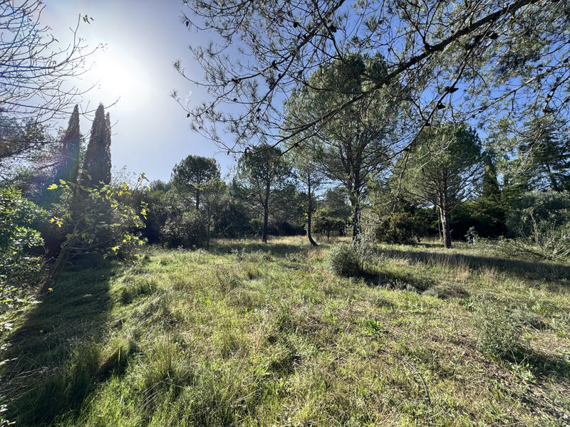 Terrain - 1 800 m²