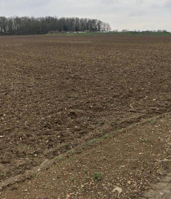 Terrain constructible - 315 m²