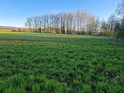 Maison - 98 m² - 5 pièces