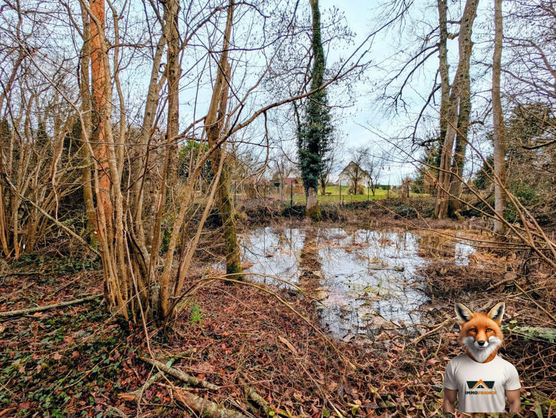 Maison - 116 m² - 4 pièces