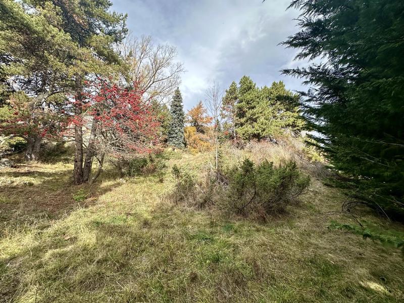 Terrain constructible - 1 572 m²