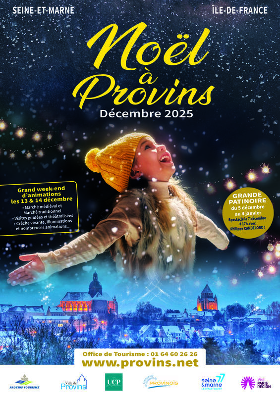 Noël à Provins