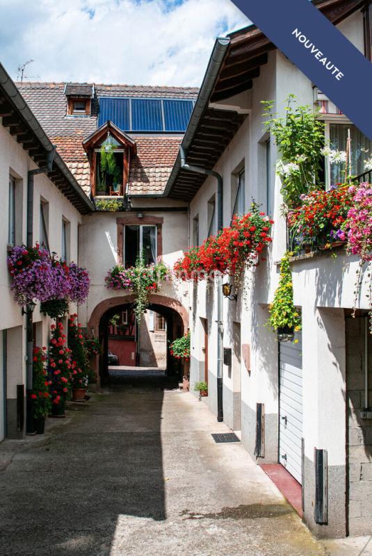 Immeuble - 428 m² - 17 pièces