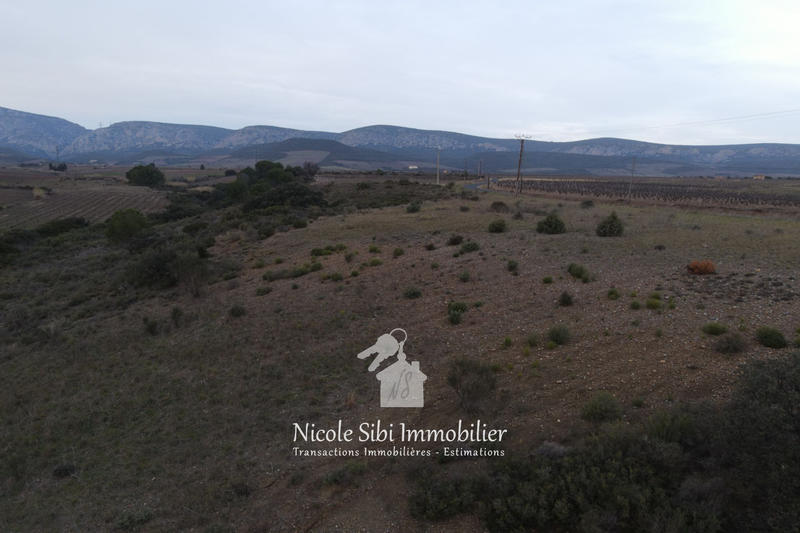 Terrain agricole - 6 785 m²