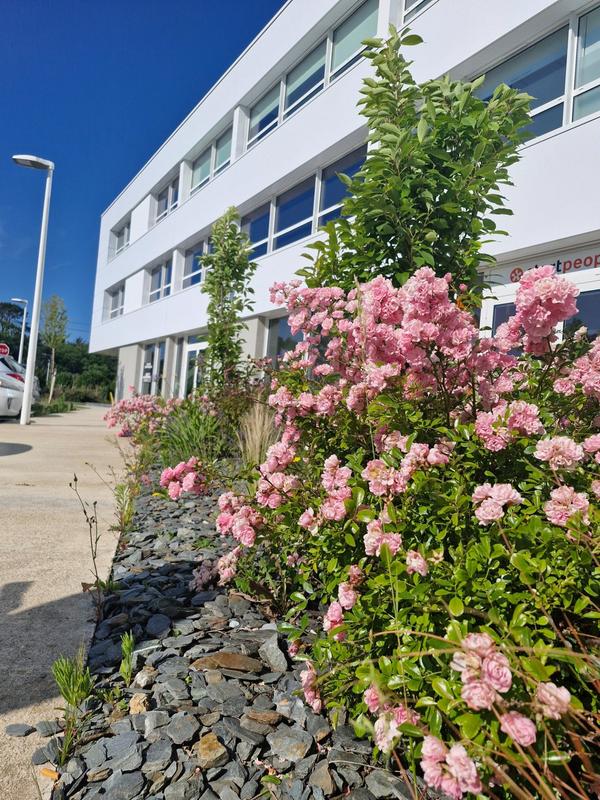 Local commercial - 170 m²