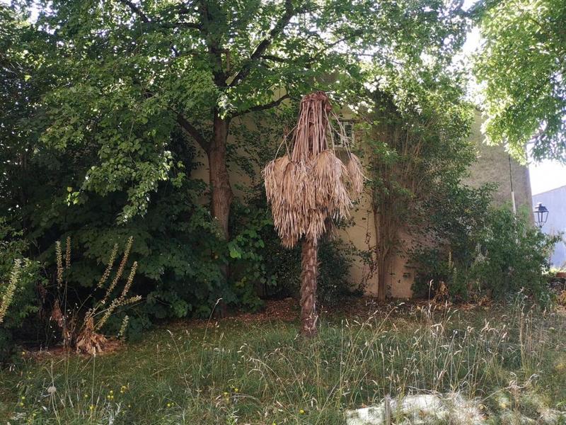 Maison de ville - 283 m² - 7 pièces