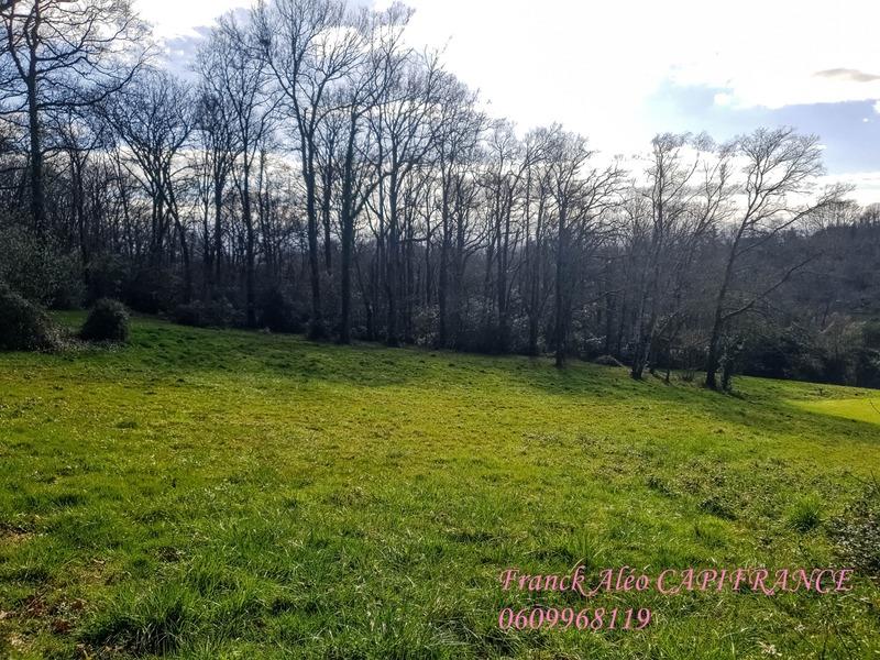 Terrain constructible - 5 000 m²