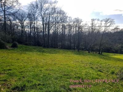 Terrain constructible - 5 000 m²
