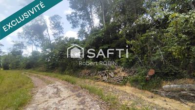 Terrain - 22 252 m²