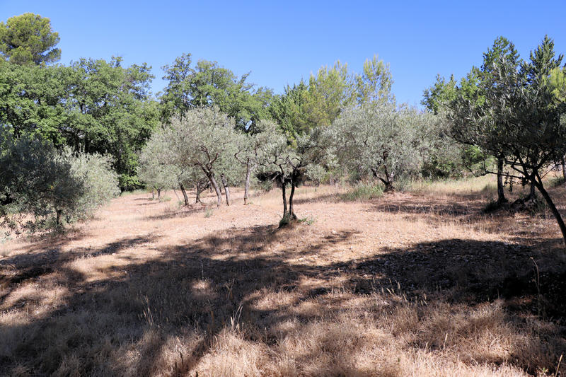 Maison - 113 m² - 3 pièces