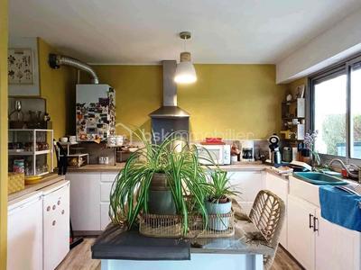 Appartement - 55 m² - 2 pièces