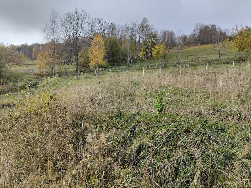 Terrain constructible - 802 m²