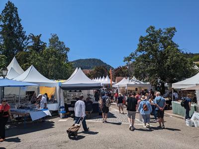 61ème édition : Mineral &amp; Gem - Nuances de Fer