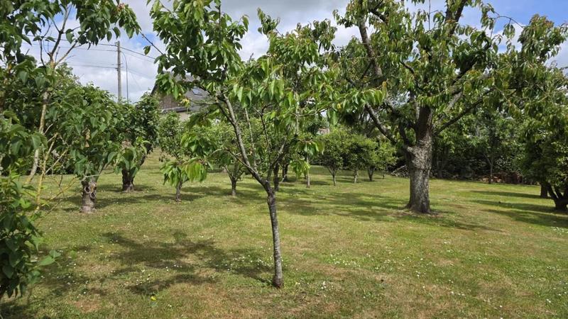 Pavillon - 85 m² - 4 pièces