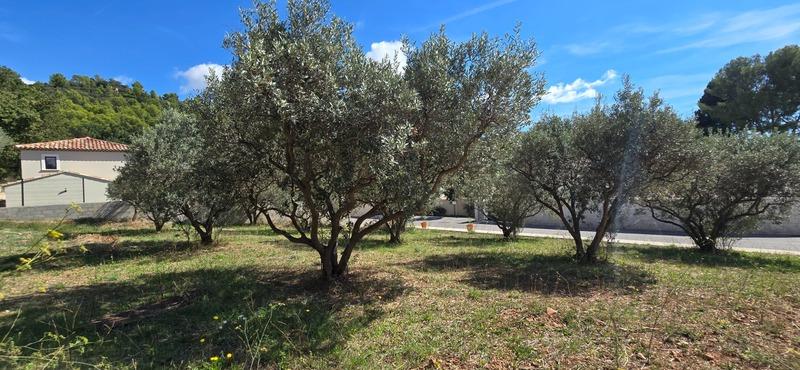 Terrain constructible - 764 m²