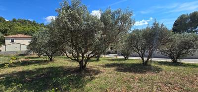 Terrain constructible - 764 m²