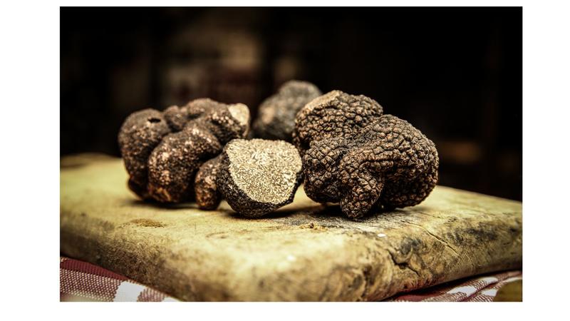 Les rencontres de la trufficulture - 28 janvier 2026 - Sorges et Ligueux en Périgord