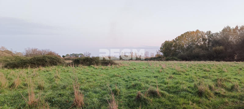 Terrain - 123 886 m²