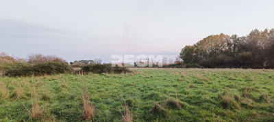 Terrain - 123 886 m²