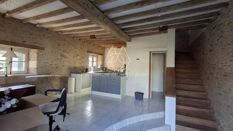 Château - 700 m² - 20 pièces