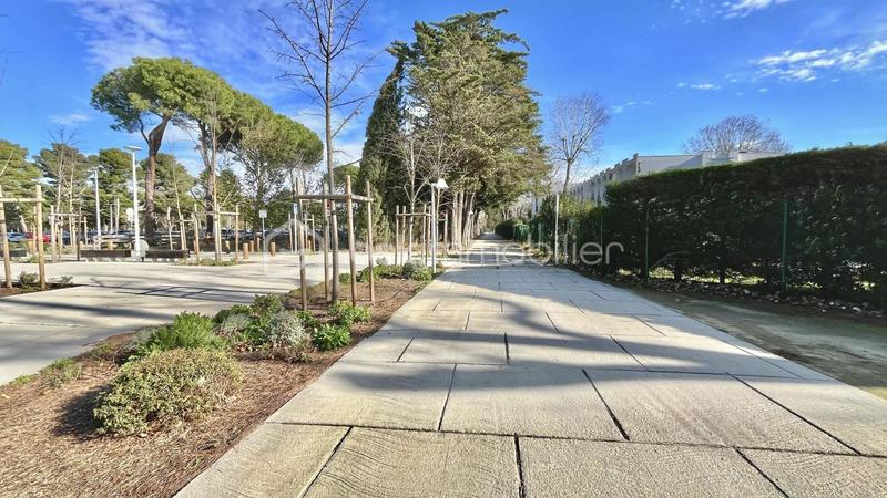 Studio - 20 m² - 1 pièce