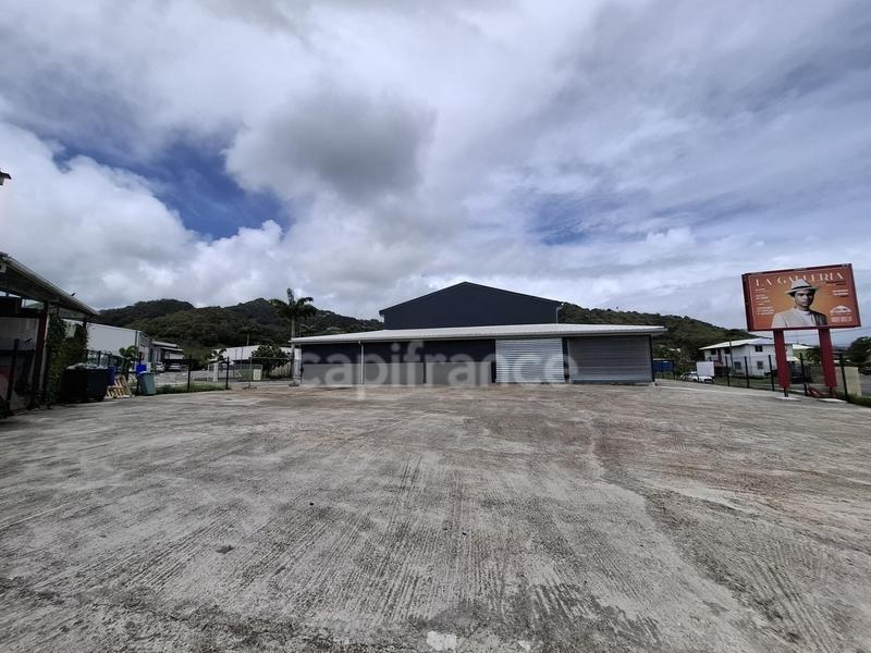 Bureau - 1 000 m² - 9 pièces